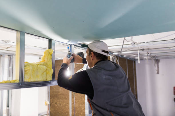 Best Residential Insulation in Harvey, ND