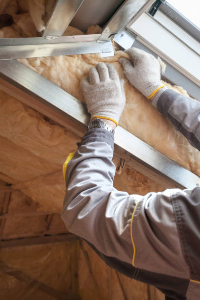 Professional Insulation Contractor in Harvey, ND